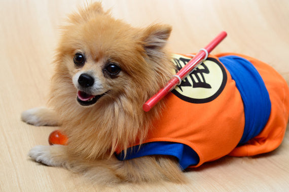 Son Goku DRAGON BALL Z Dog Costume – HachiCorp