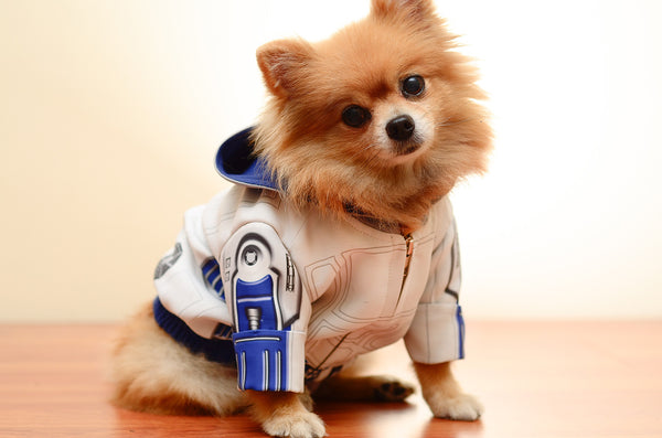 Star Wars R2D2 Dog Clothing Jacket