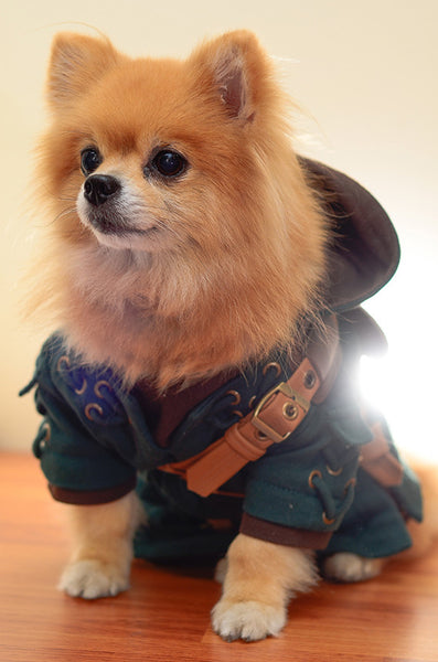 LEGEND OF ZELDA Link Dog Costume