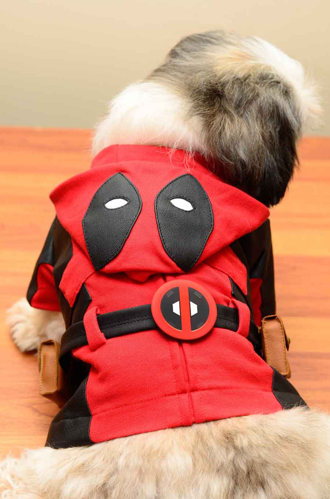 KAKASHI Vest Dog Costume from Naruto – HachiCorp