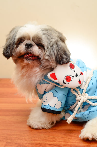 DRAGON SLAYER Kimetsu no Yaiba Kamado Tanjiro (Urokodaki) Dog Costume