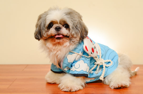 DRAGON SLAYER Kimetsu no Yaiba Kamado Tanjiro (Urokodaki) Dog Costume