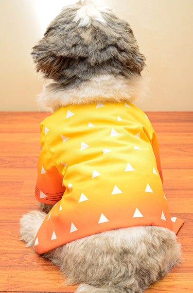 ZENITSU DEMON SLAYER Kimetsu no Yaiba Dog Costume