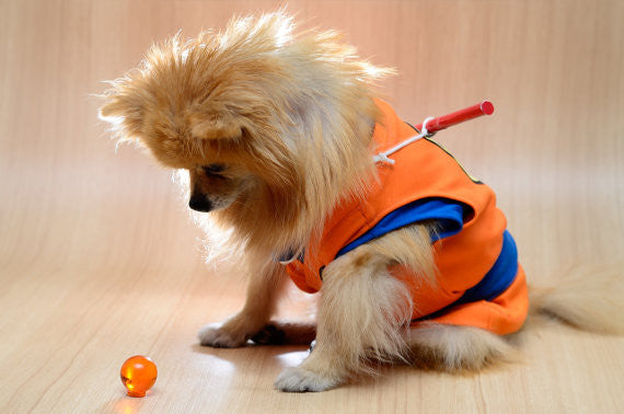 Son Goku DRAGON BALL Z Dog Costume